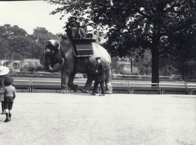 An Asian Elephant Being Ridden by Two Ladies and a Young Girl, with a Keeper at Her Side, London Zoo, May 1914 by Frederick William Bond